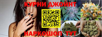 apvp Краснодар