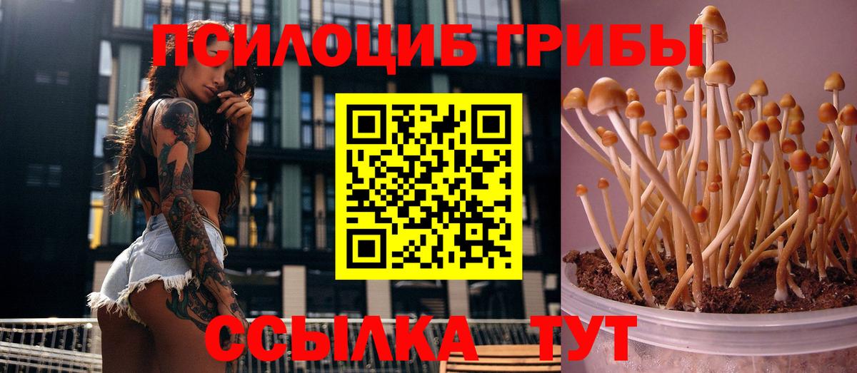 Псилоцибиновые грибы ЛСД Каспийск