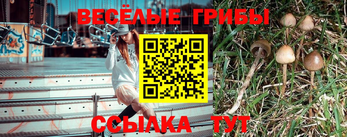 как найти наркотики  Галлюциногенные грибы GOLDEN TEACHER  Вход с VPN  Каспийск 